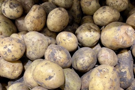 ������ ����������: ���� ���������� ��� ������ ��������