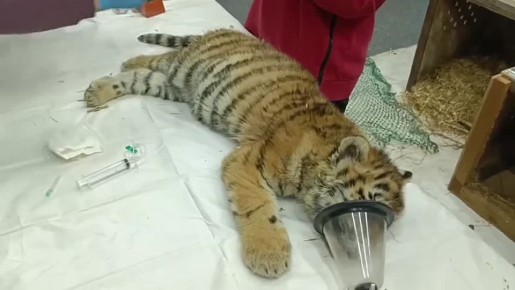 ������-����� ������ � ��������