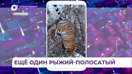 � ���� ��������� �������� �����