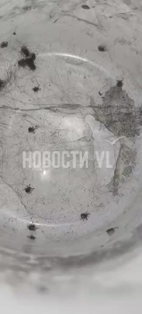 � �������� ������ � �������� ����� ����� 100 ������, ������ �������, ��� ������ ���������� � ���� ���