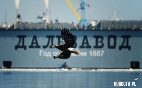 ������ ����, �����������. ���� ���������� ����������