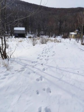 ����������� ������������ ������� ��������� ����������� ���� ��������� ��������� �������� ������ � ��������� ����� � ������ �������� ������������ ������