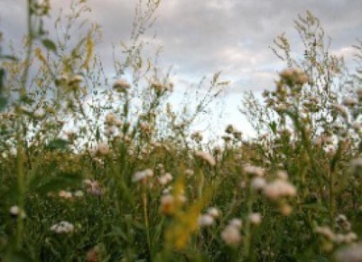 ���������� �� ����� � �����: ������� ���� � ������