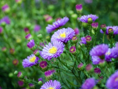 ��� ��������� ����������� �����: ������� ��������� ������ ��� �������