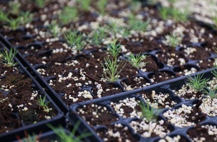 � ���������� ���� � 2026 ���� ��������� ���� �������� ����������� �� ���������� � ���������� ������� ����� � ������ ��������� ����������� ����� ���������� �������������� ������������