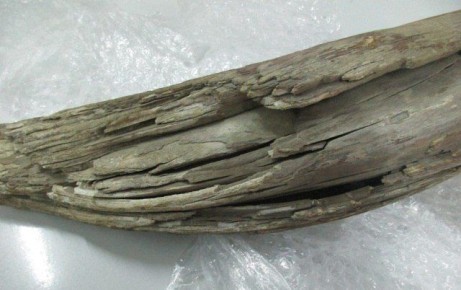 �� ������ � ������ �������� ������� ������ �������