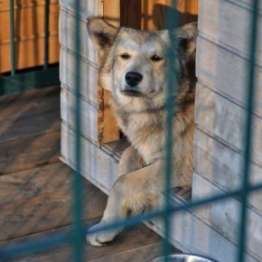 ������������� ������� � ����������� ��� �������� � �������� ��������� ���������� ��������� �� ������� ������� � ��������� ������������ �����, ������� ����� ����� ������� ��� �������