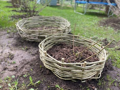 ��� � ��� ����� ������������ ������� � 2026 ����: ������ ���������