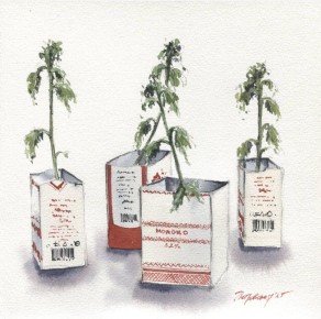 ��� ���������� ����������� ����� �������� ���� �����