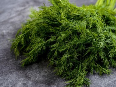 ������ � �������: ������ ����-������ �� �����������