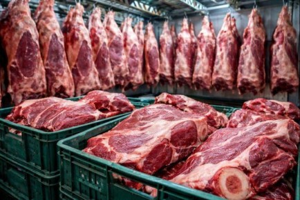 � �������� � ��������� ���� ������� ������� ������������ ������� ������������� ����������