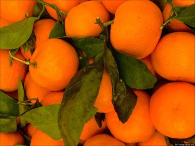 ������������ ������: ����� ��� ������ ����� ��������� ������ ��������