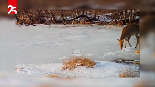 ������ �������. ����� ����� �����, � ���� ������� � ������ ���� ����������� ������ �������� ��