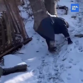 ������� ��������� ������� ���������� �� ��������