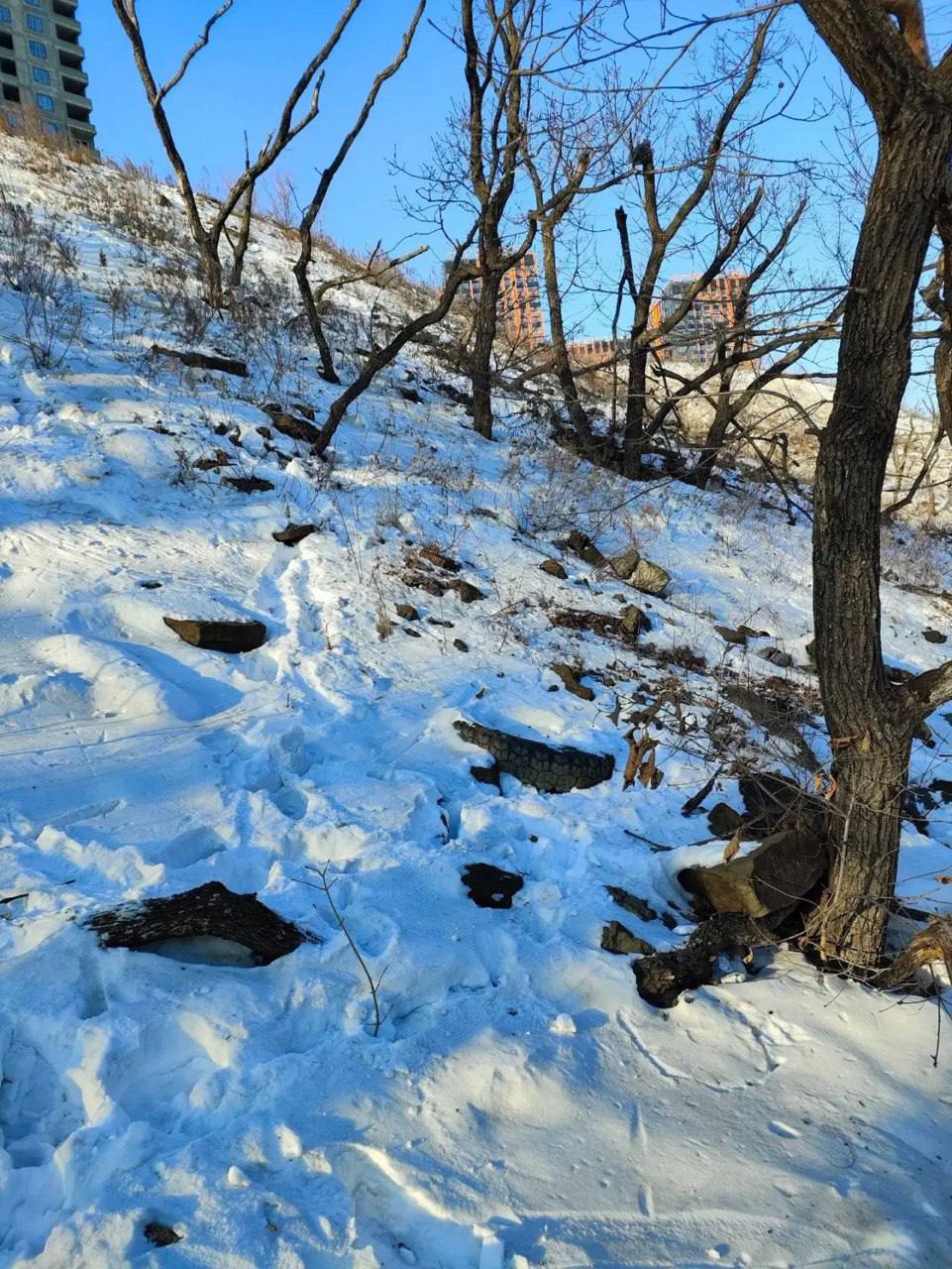 Строители убрали мусор, который 18 января был скинут с косогора стройплощадки ЖК «Гавань» на 3-й Поселковой Строители убрали мусор, который 18 января был скинут с косогора стройплощадки ЖК «Гавань» на 3-й Поселковой