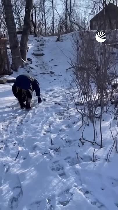 В Находке построят лестницу для пенсионерки, которая ходит в магазин на четвереньках