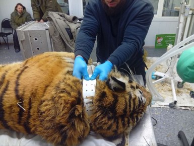 ���� �������� ������, ������� ������� � �������� � ���� ���� � ���������, ��������� � ����� �������