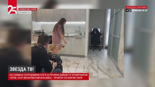 ������ ��. �� ������� ����������� ��� � 25 ������� ������ � ������������ �����