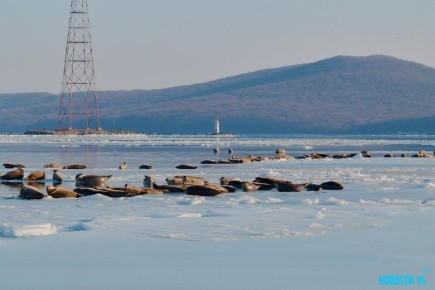 Доброе утро! Во Владивостоке в субботу, 24 января, небольшая облачность, без осадков