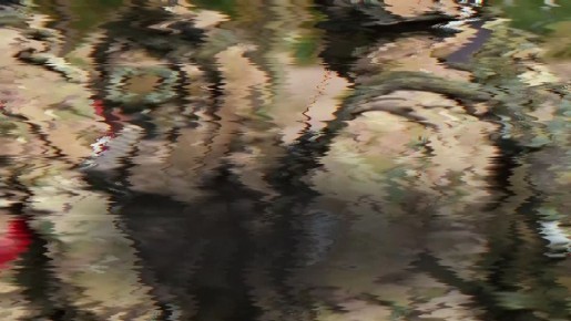 ����� ���������� ���� � ���������� ����� � �������� ���������� �������