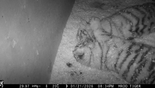 �������, �������� � ������, ������������ � ������ ������������