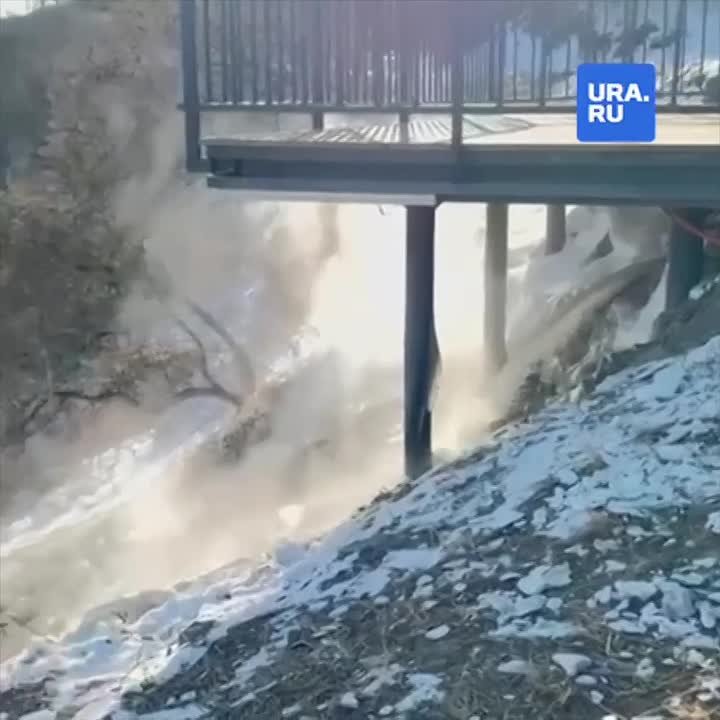 Кипяток хлынул в озеро с черепахами во Владивостоке