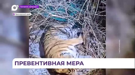 � �������� �������� ��� ���� ������