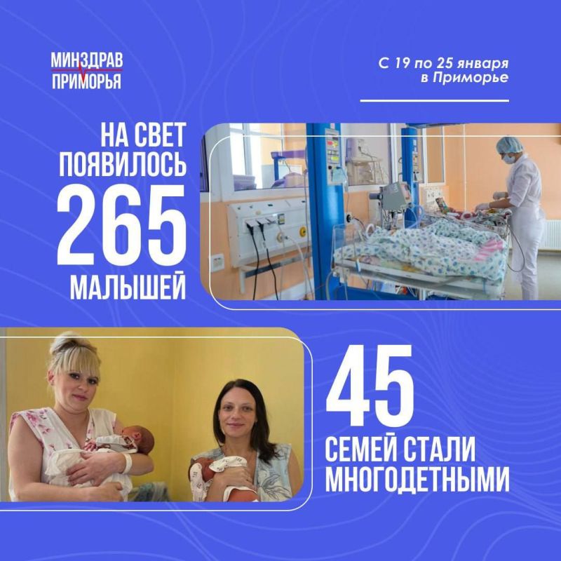 � �������� �������� �������-�������� ����� ����� 4,8 ����������