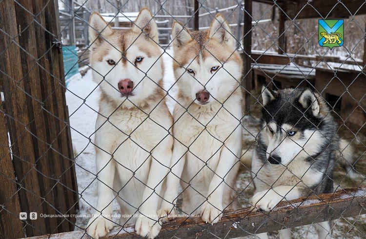 ��� ������� ������� �� ������� ��������?