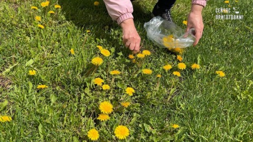 ���������� ��� ������ ���: ����� ������ � �������� �������