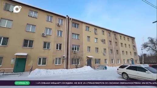 � ������ ���� � ���� ���������������� ����� 300 �������