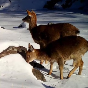 ������ ����, ��������!. � ��� ����� ��������� ����� ��� � ������� �������� �������� ���� �� ������ �����