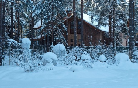 ����� ������ ���: ��� ������ ������������ �������� � �������� �������� ����