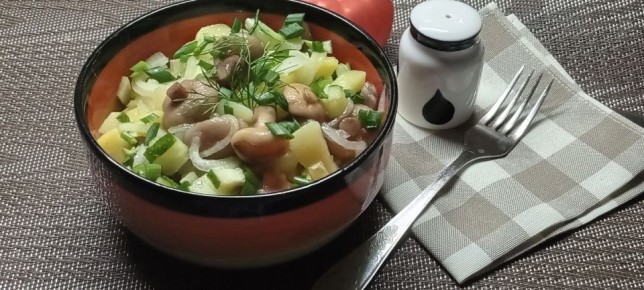 ������ ����� � ���������� � ������������� ���������: ������� ��������� �������