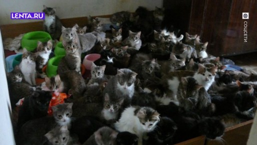 � ������ ��������� ����� �� ����� �������� � ��������