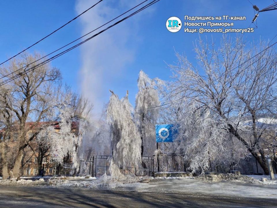 � ������ �������, 5 ����� ������