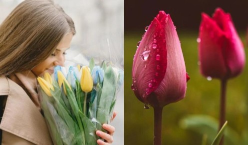 ��� �������� ����� ��������� � ����: ������� �������� ��� ���������� �������