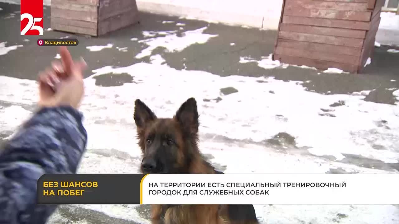 О работе в конвойном подразделении ГУФСИН рассказали приморцам