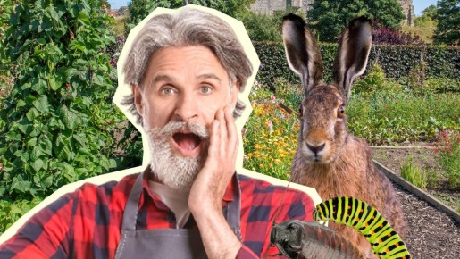 ��� ������ ������� ���� ������: ��������� ������ ��� ���������