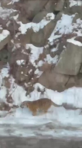 �������� ����� �������� ������ �� ������ � ��������