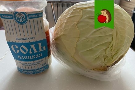 Как правильно квасить капусту, чтобы избежать неприятностей