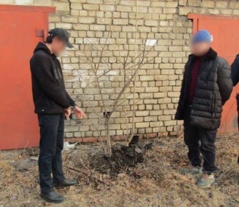 � ���������� ���� �������� ������������� ���������� ���� � ����� ������������� ������� � ������� �������