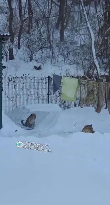 � ���������� ���� ����� �������� ������ � �������� ������� �� ������������ �������