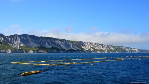 ������������� ����������� �� �������: �� ������� � ����� ������