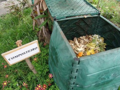 ��� �������� ���������� ��� �� �����: ������� � ����������� �������