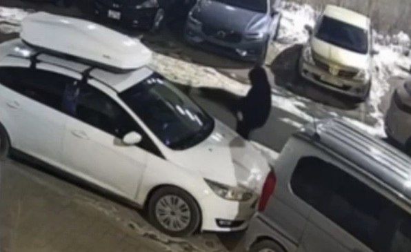 Полицейские привлекли к ответственности участника инцидента, произошедшего в Советском районе