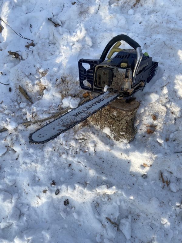 В Приморье полицейские задержали подозреваемого в незаконной рубке леса