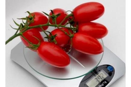 ����� �������: ������� ��������� ����������� ������ �������