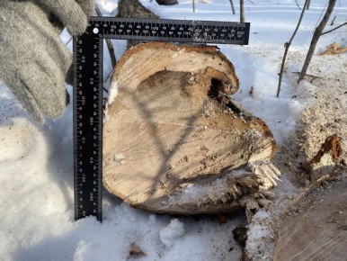 � ���������� ���� ����������� ��������� �������������� � ���������� ����� ����