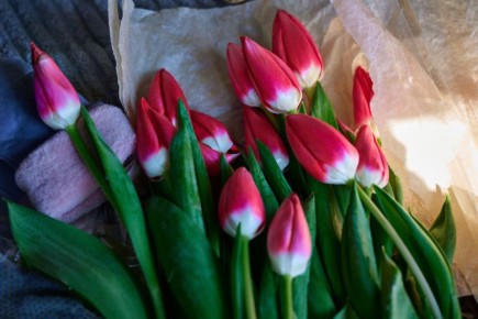 �� ������������ ���������� 83 ����������� ����� ��� ������� ������ � �������������� �������� ���